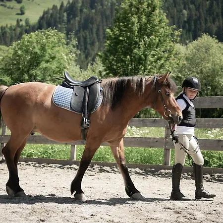Hotel Auhof Großarl