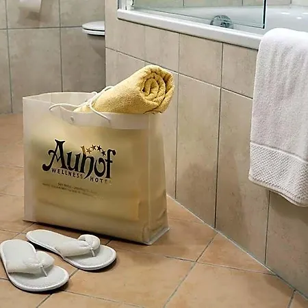 Szálloda Auhof 4*
